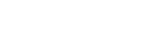 Microsoft Partners Logo