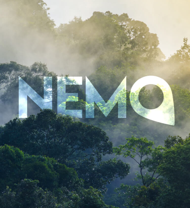 NEMO Case Study title image for Logo design project
