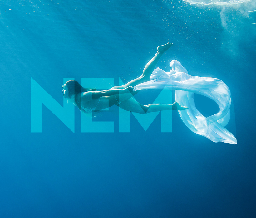 New logo design for Nemo